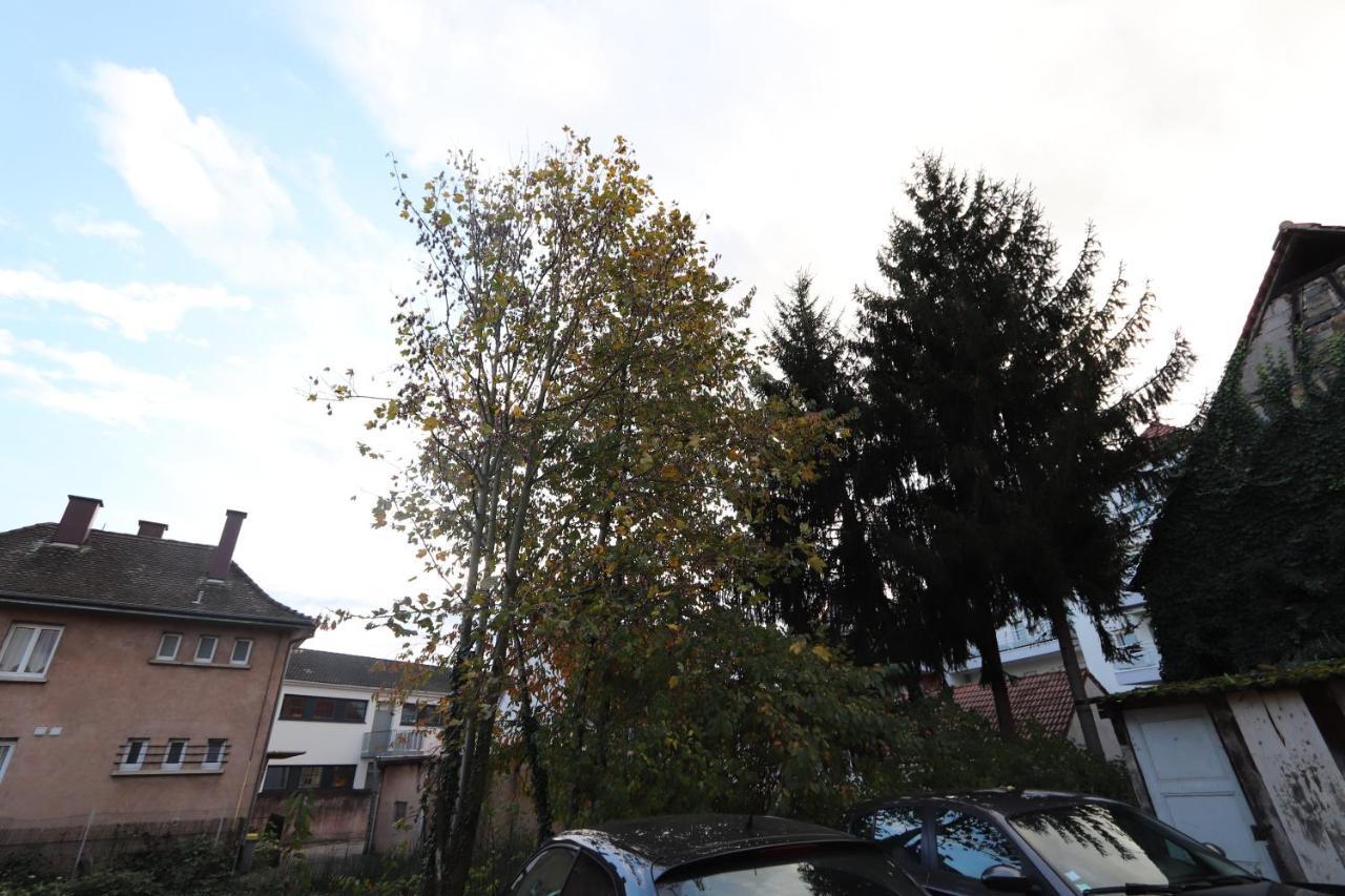 Homeday Cultivateur N°2 Appartement Type F3 アグノー エクステリア 写真